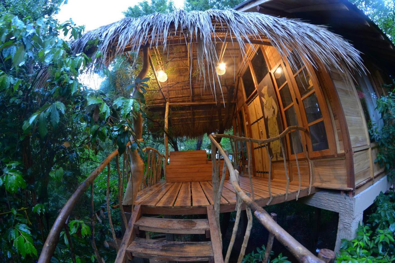 Tree House Mutu Village هاباران