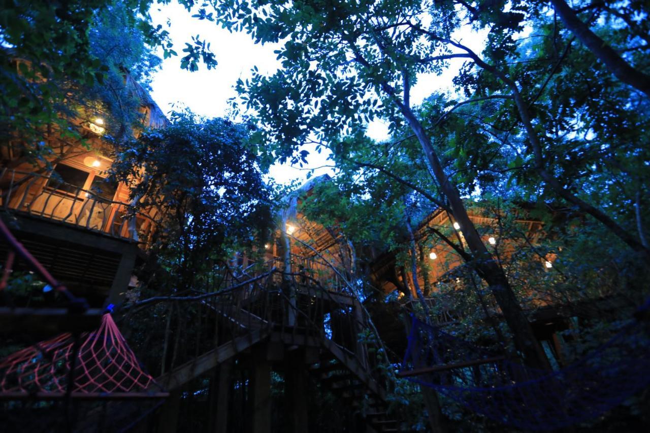 Tree House Mutu Village منتجع