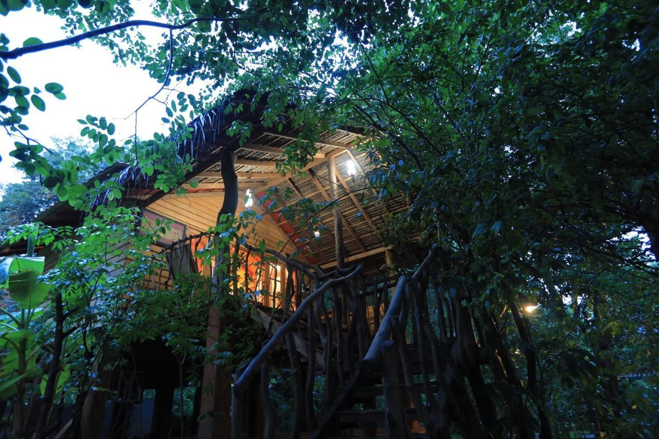 منتجع Tree House Mutu Village