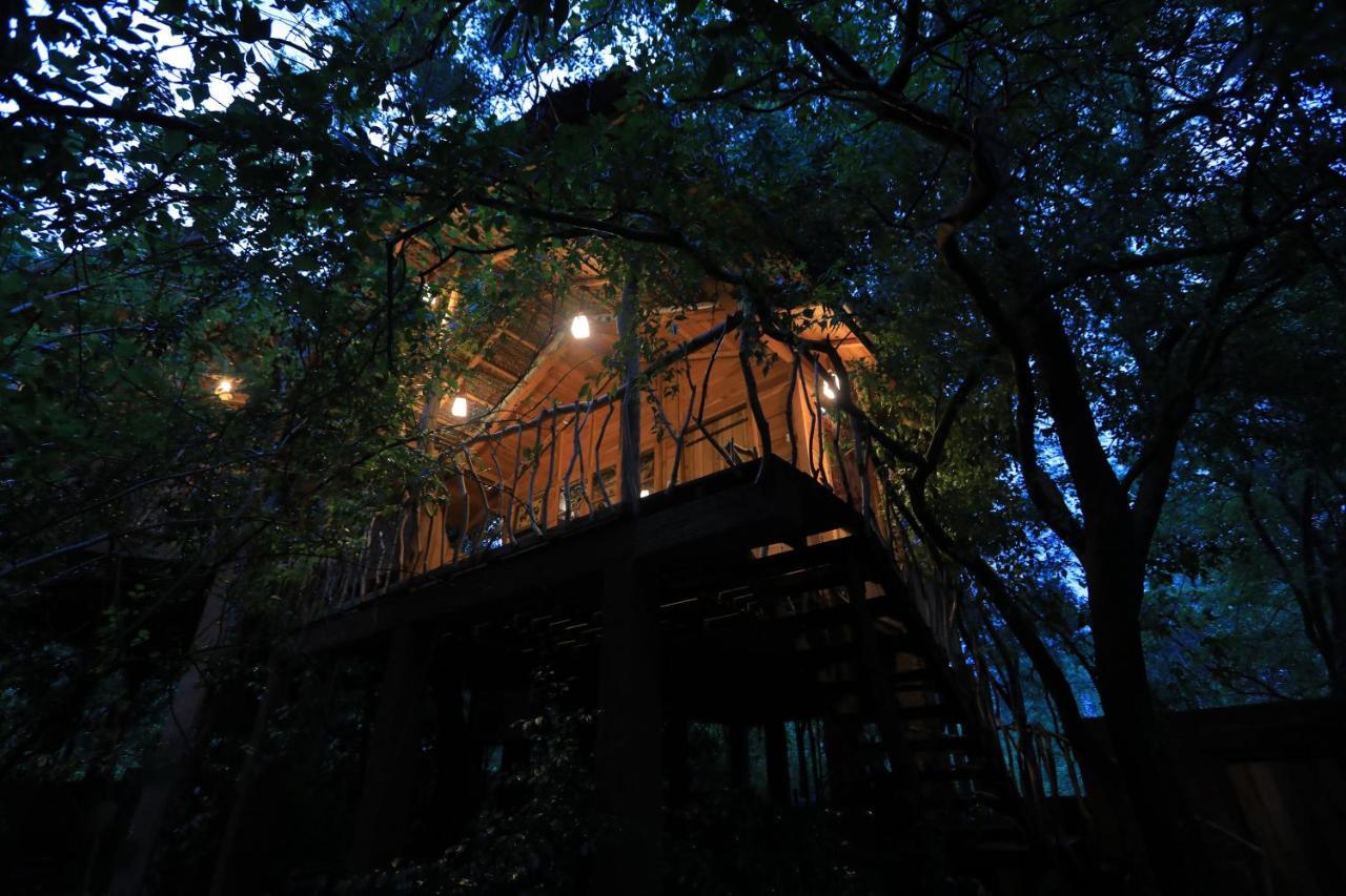 Tree House Mutu Village