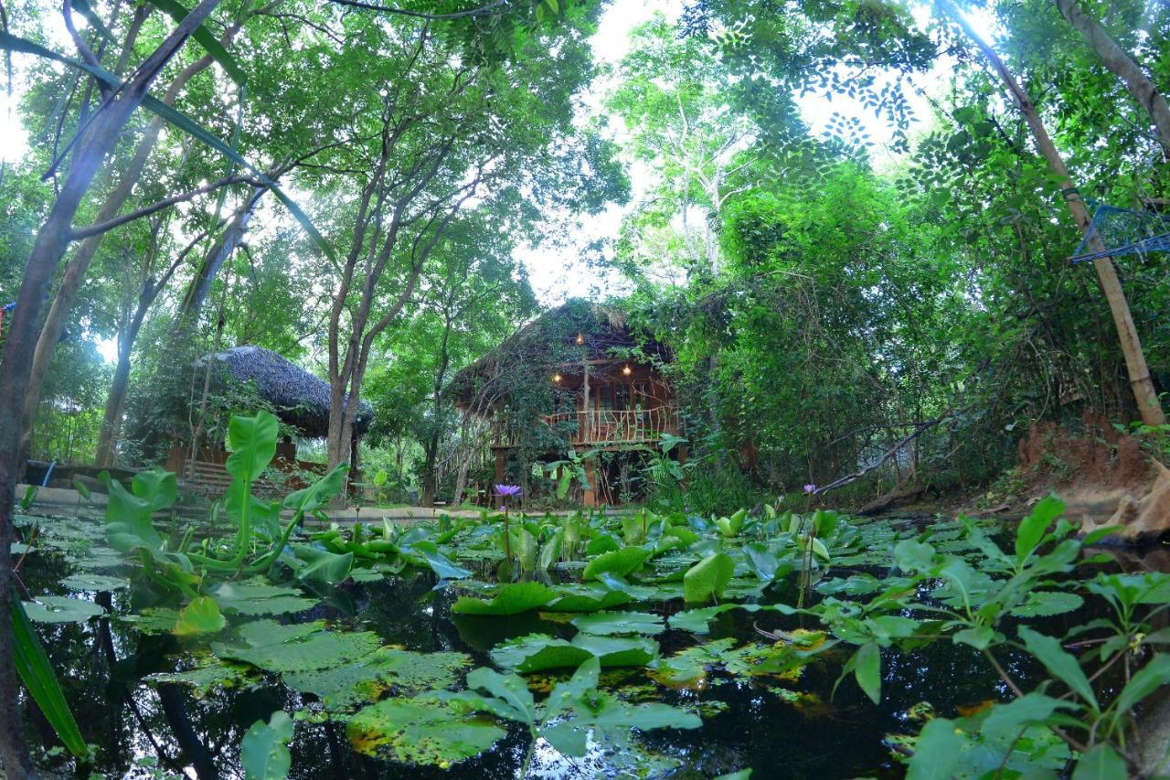 Tree House Mutu Village 3*